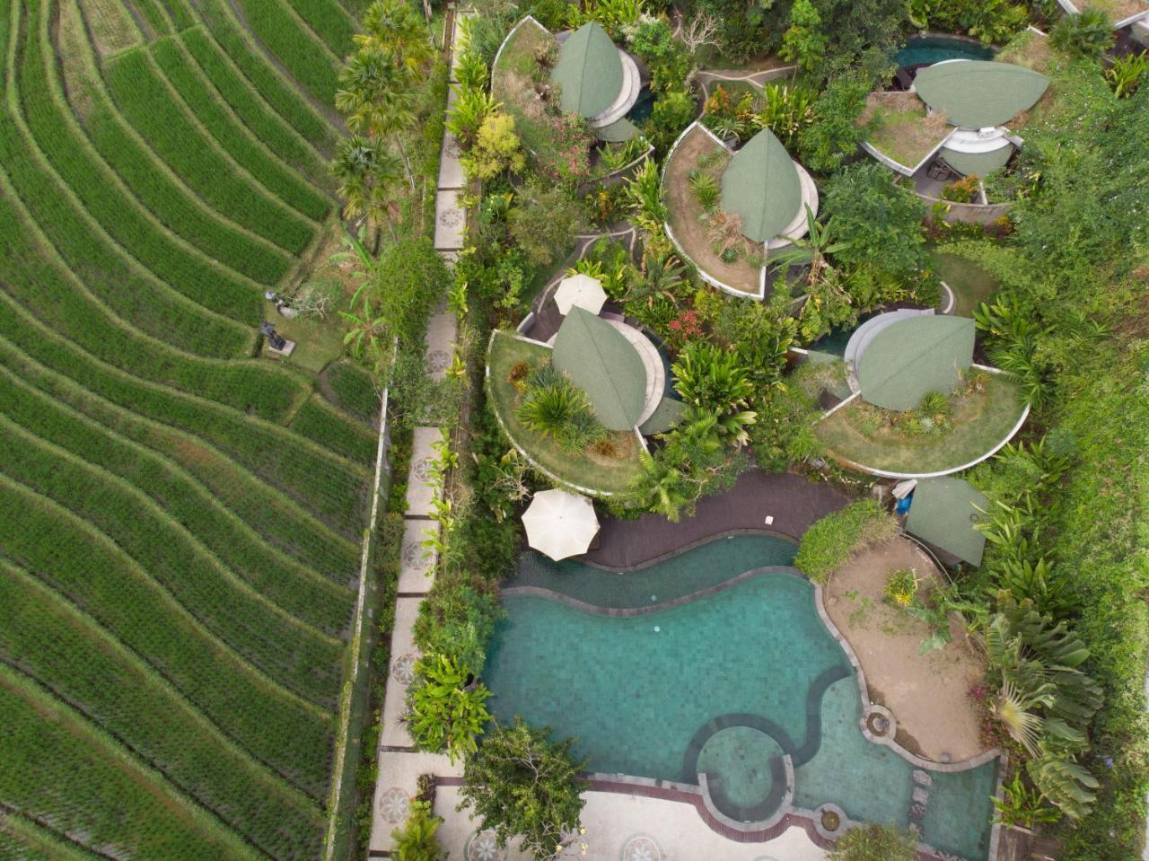 Tanah Lot De Moksha Eco Friendly Boutique Resort מראה חיצוני תמונה